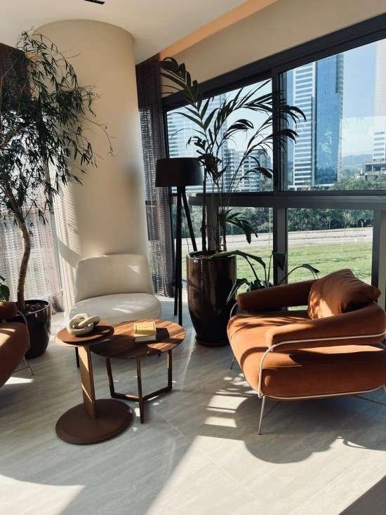 Plantas em casa.